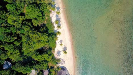 Tropical-sand-beach-with-palm-trees-in-sunset,-sunrise,-aerial-dolly-shot-flying-through-the-trunks,-wild-pristine-beach-in-Hawaii