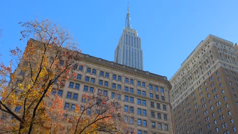 Tiefwinkelblick-Von-Einem-Der-Dachgärten-Auf-Eine-Große-Anzahl-Von-Wassertürmen-Und-Wolkenkratzern,-Darunter-Das-Empire-State-Building