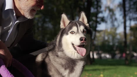 el dueño de la mascota con su perro