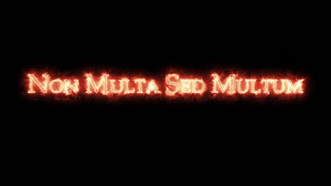 non multa sed multum written with fire. loop