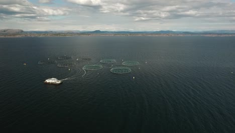 Acuicultura-En-Noruega-En-La-Costa-Para-La-Cría-De-Peces