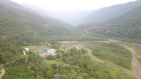 plantación de café en la selva montañosa boliviana