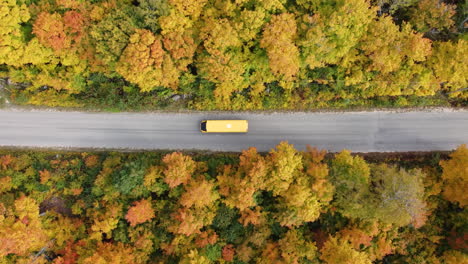 toma aérea de arriba hacia abajo de un automóvil privado que cruza a través de la carretera escénica de color otoñal del parque algonquin
