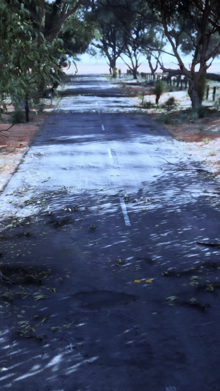 길고, 직선적이고,  빈 시골 도로