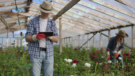 Two-happy-farmers-working-in-a-greenhouse-with-flowers-using-tablet-computers-to-monitor-and-record-crops-for-buyers-and-suppliers-of-flowers-to-shops-a-small-business-and-colleagues-working-together.