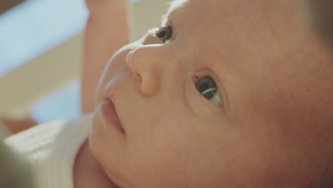 close-up of a newborn baby