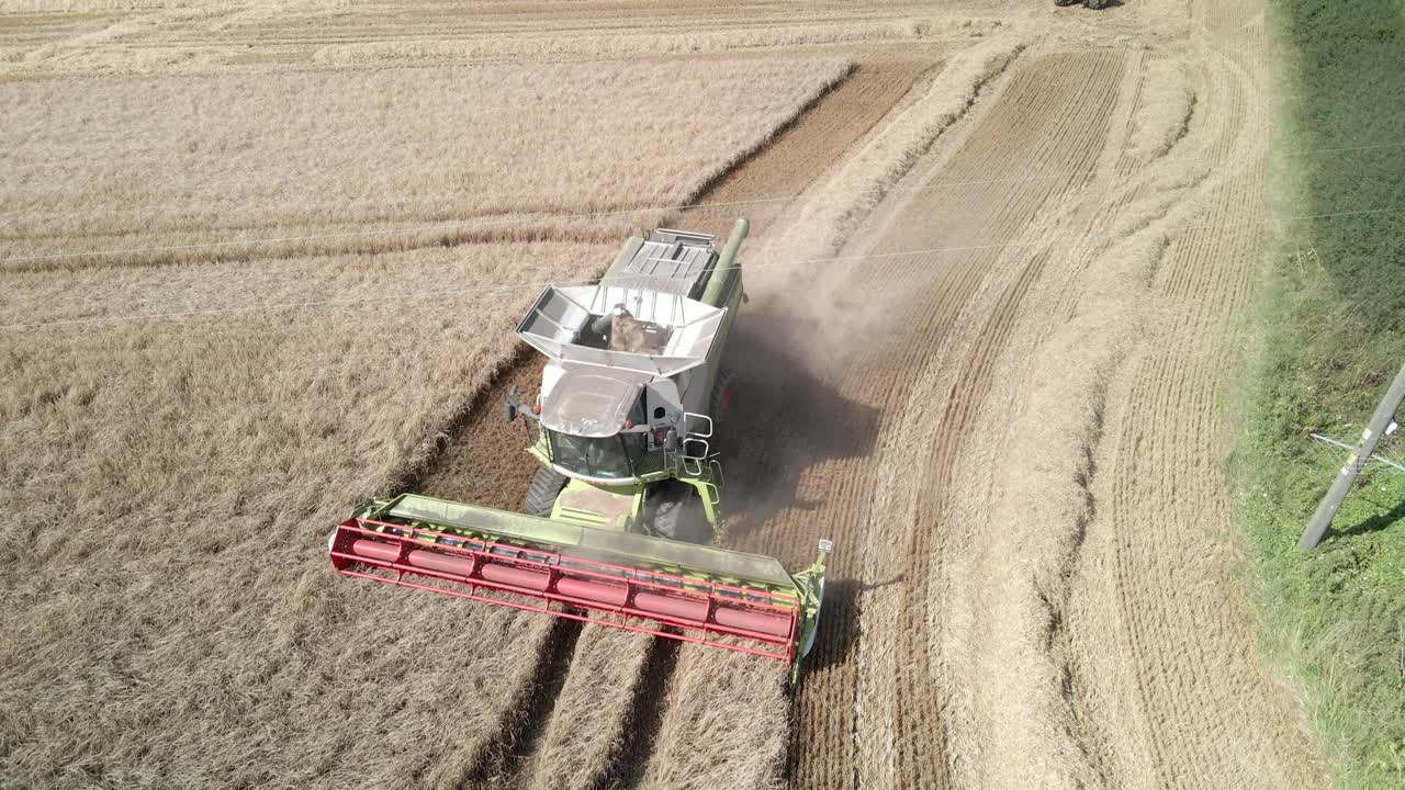 Aerial footage of a combine harvester and tractor harvesting a wheat crop