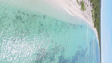 birdseye view of bahia de las aguilas turquoise sea and beach in dominican republic, vertical shot