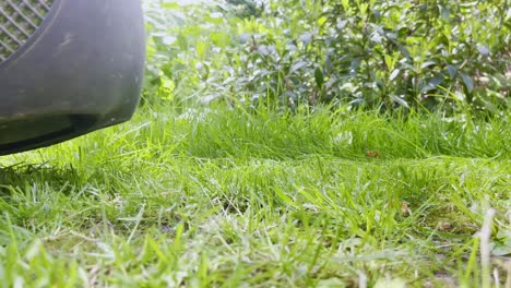 closeup of green lawn in a garden being cut by a lawnmower