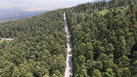 Asphaltstraße-Mit-Grünem-Wald