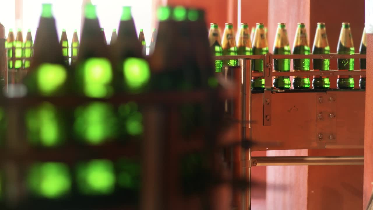 Automated production line with green glass bottles. Beer packing line at factory
