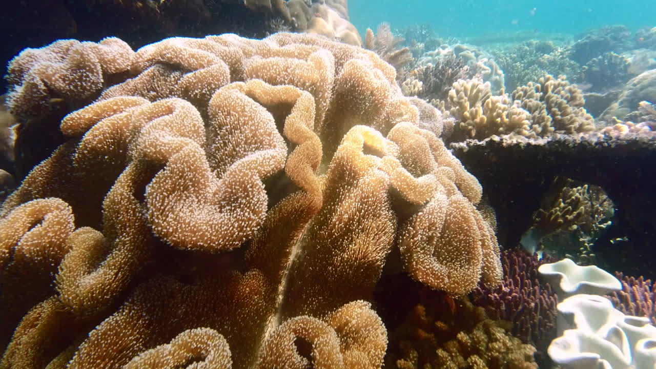 The ocean has it's own secrets