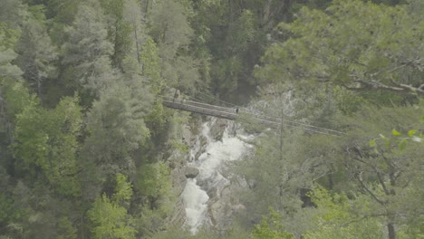 a bridge in the middle of a national park