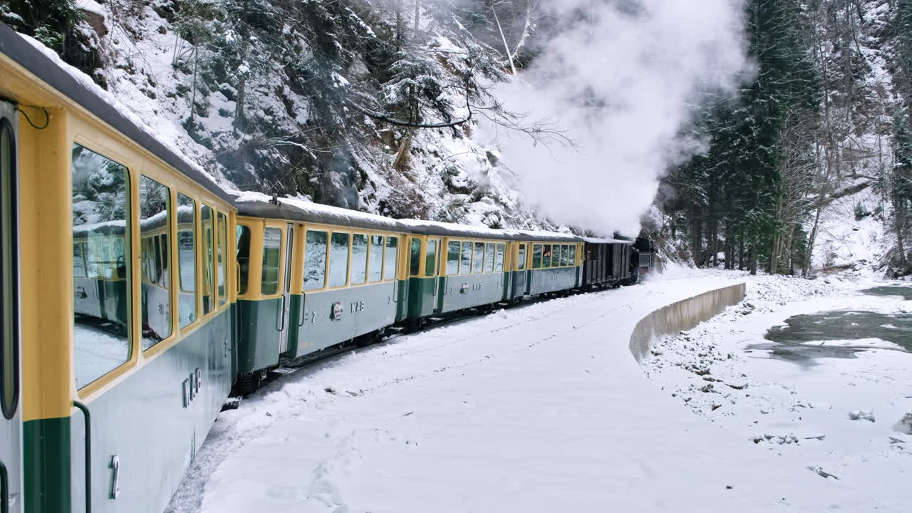 Vista interna del treno a vapore in movimento Mocanita, foresta spoglia in inverno, neve, Romania