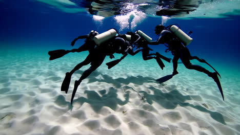 Scuba Divers Underwater