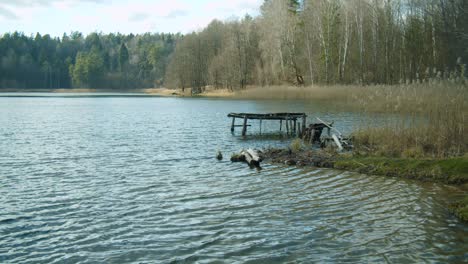 Un-Pequeño-Muelle-De-Madera-Roto-En-Un-Lago-Con-Olas-Formando-En-Medio-Del-Bosque