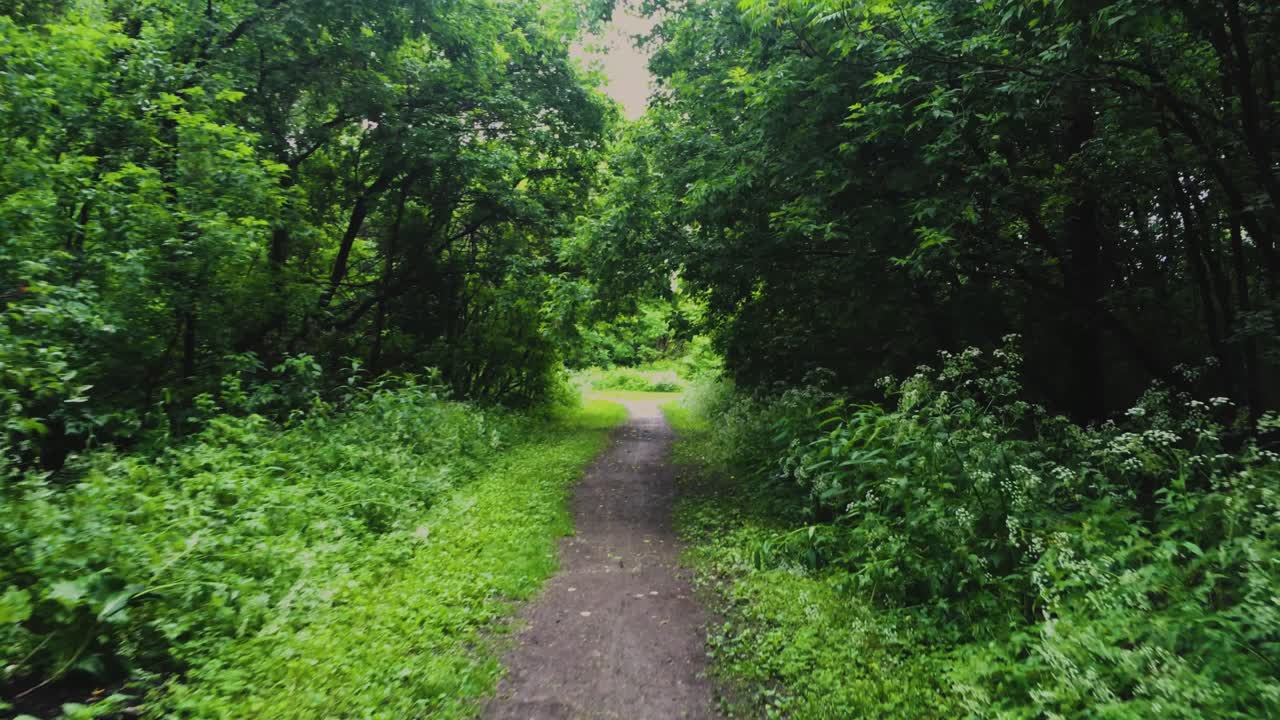 Point of view from a person's eye looking up on a forest's path during daytime.