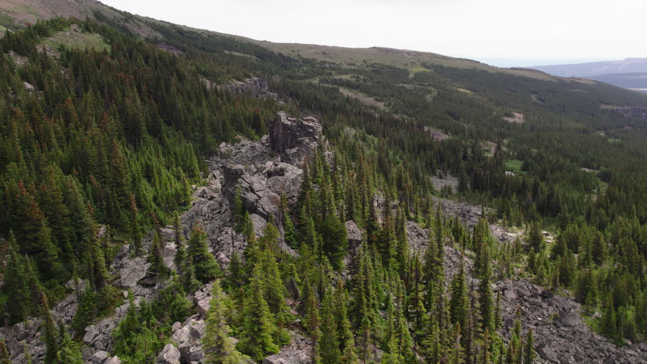 cresta rocosa escarpada en las montañas con árboles forestales, columbia británica