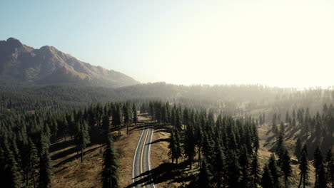 Aerial-view-on-a-winding-road-in-summer-day