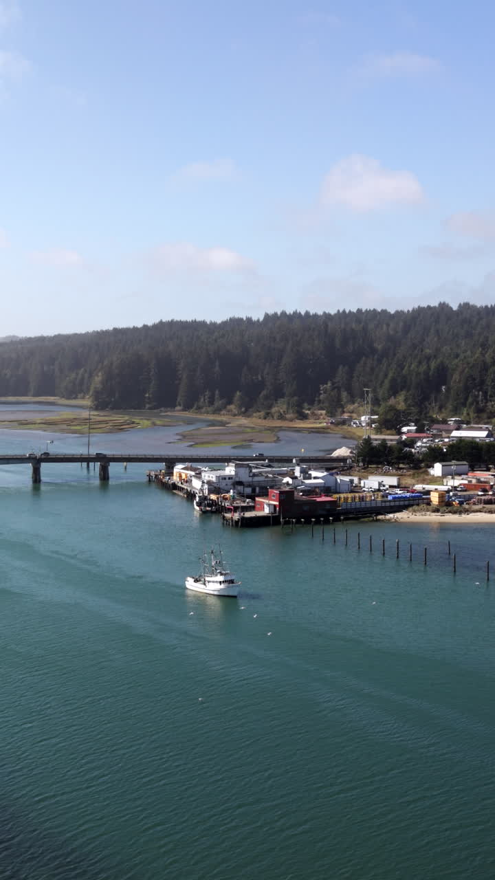 Peschereccio a Charleston, Oregon. Orbita di drone. Gabbiani che volano intorno