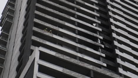 mfb firefighters survey damage from apartment building fire flammable cladding