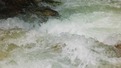 mountain river in the wood in slow motion. beautiful wildlife landscape.