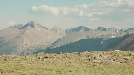 tundra en el parque nacional de las montañas rocosas