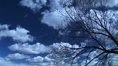 Plano-Medio-De-Cielos-Nublados-Por-Encima-De-Un-árbol-Sin-Hojas-Temblando-Con-Viento-Suave