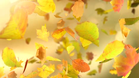 hojas de otoño que caen fondo en bucle en 4k