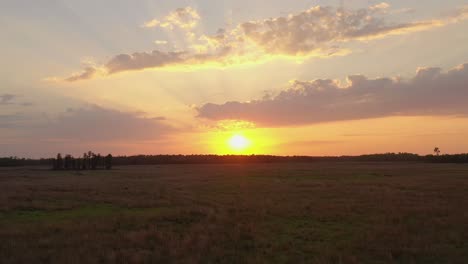 Aufsteigende-Luftaufnahme-Zu-Einem-Großen-Und-Goldenen-Sonnenuntergang-In-Den-Graslandschaften-Von-Land-O´lakes-In-Florida