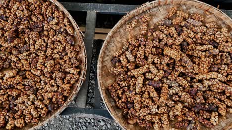 Primer-Plano-Panorámico-De-Los-Famosos-Granos-De-Café-Kopi-Luwak-Secándose-En-La-Cesta