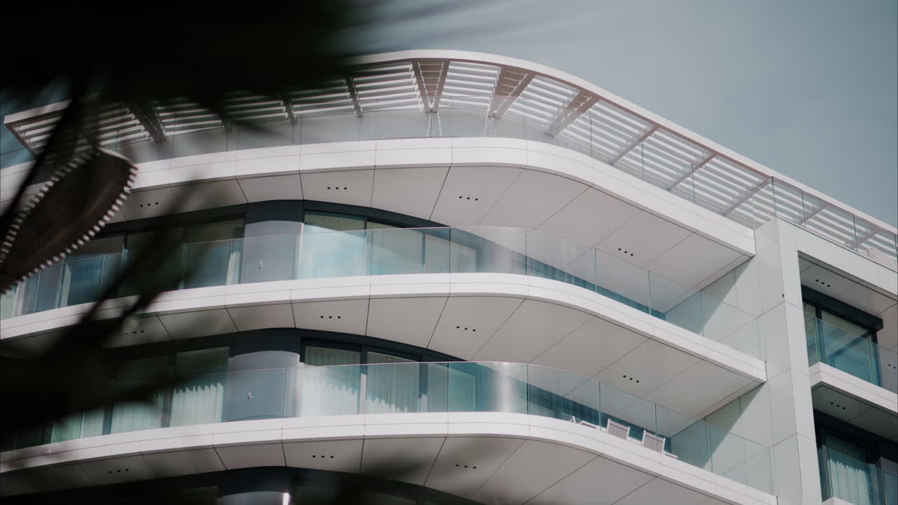 Close up of a palm tree branch with a white building on the background