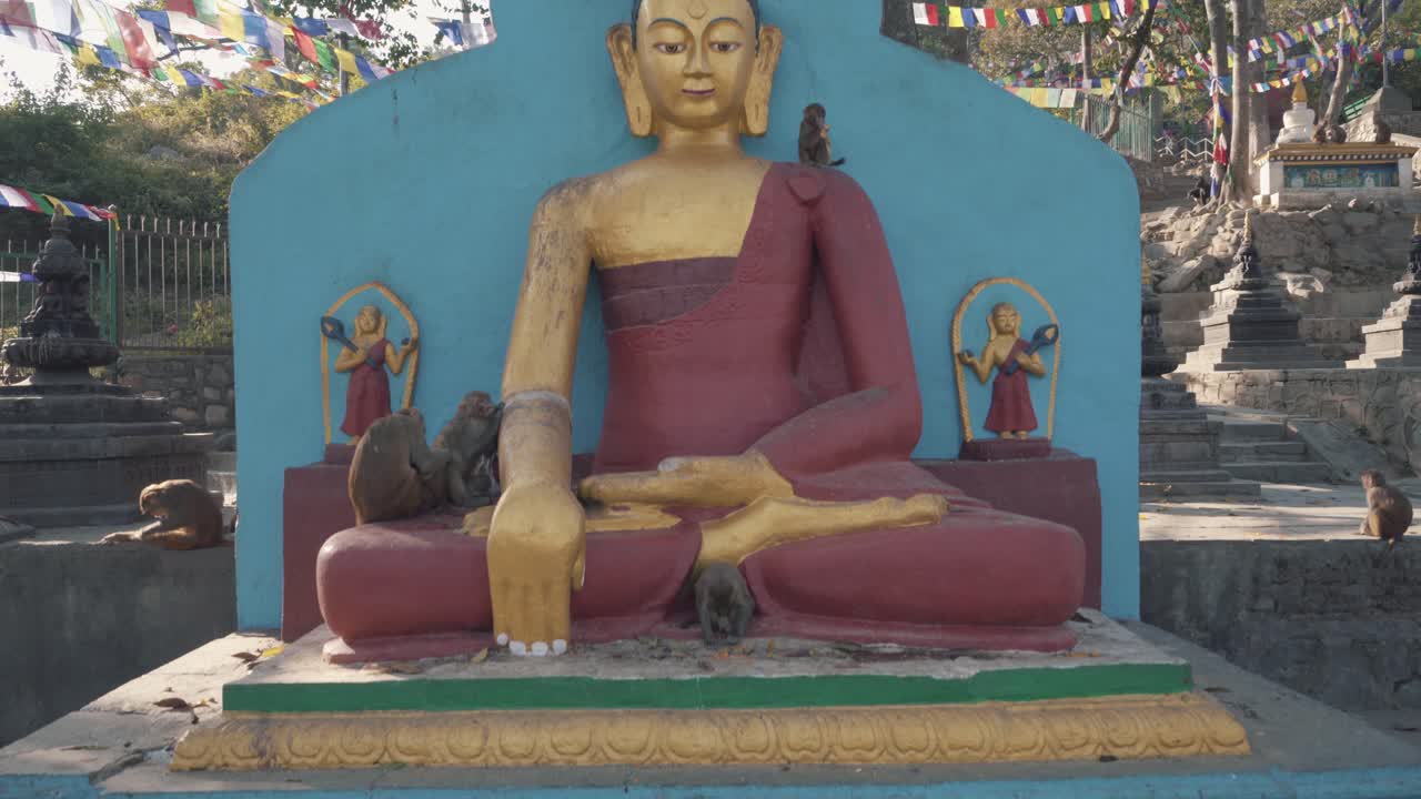 Monkeys Climbing And Playing Around In Buddha Statue  In Swayambhunath Stupa. Tourists Destination In Kathmandu, Nepal. - panning up