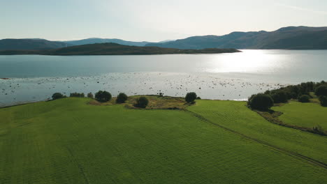 Aerial-View-Of-Green-Field-And-Skjerstad-Fjord-In-The-Municipalities-Of-Bodø,-Fauske,-And-Saltdal-In-Nordland-County,-Norway---drone-shot