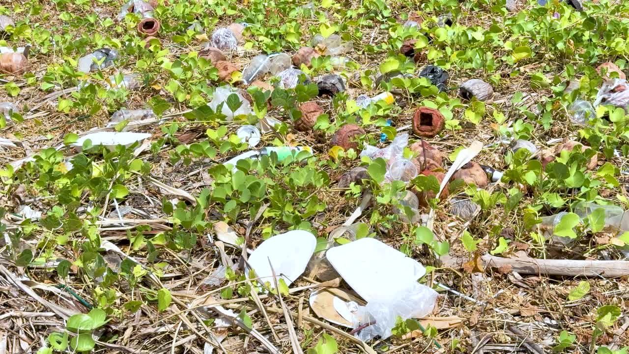 Inquadratura fissa dall'alto di bottiglie di plastica e contenitori di polistirolo che inquinano le piante costiere verdi