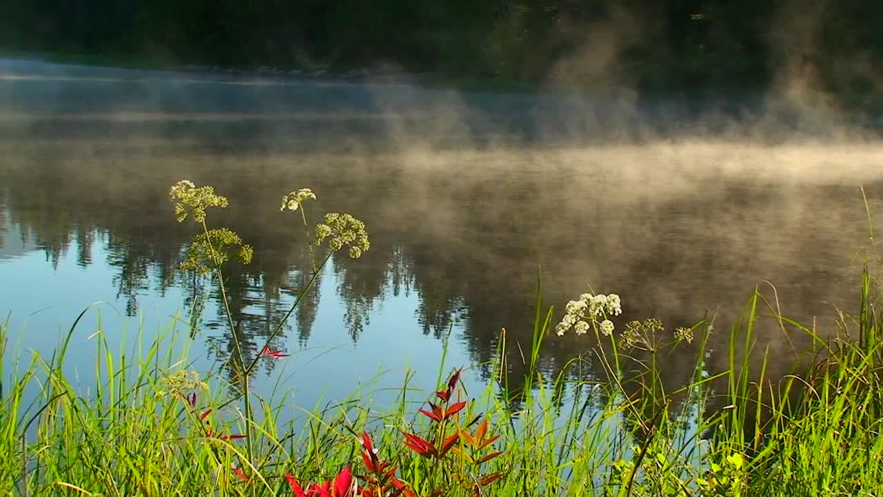el vapor se eleva desde el lago trillium detrás de la hierba y las plantas cerca de mt hood en oregon