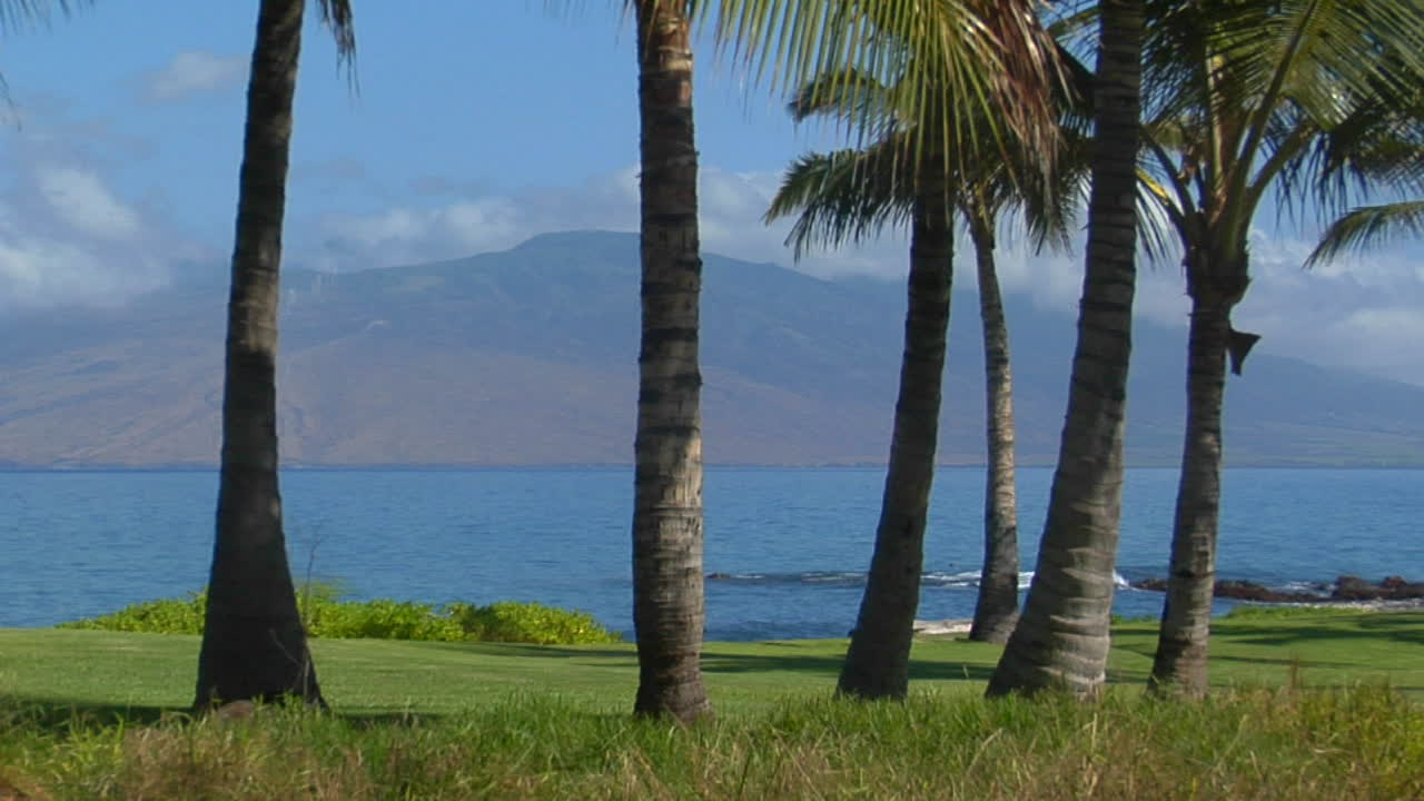 하와이의 손바닥과 먼 봉우리가 있는 아름다운 섬