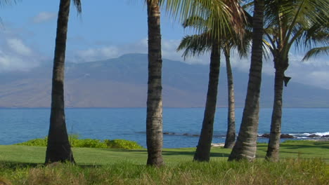 A-Beautiful-Island-Shot-With-Palms-And-Distant-Peaks-In-Hawaii