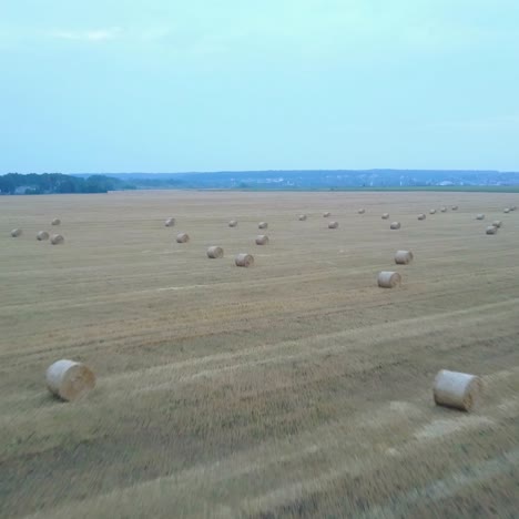 campo de la granja con balas de heno