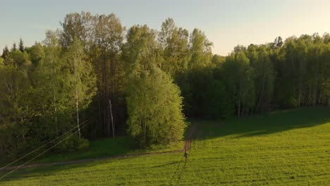 Bird's-view-of-person-walking-on-windless-field-on-spring-at-sunset