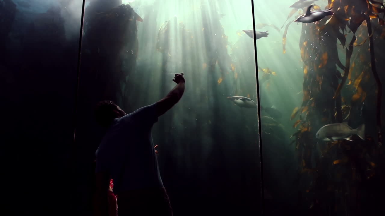padre e hija mirando el tanque de peces y tomando fotos