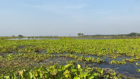 Bortirbil,-Westbengalen,-Indien:-Landschaftsansicht-Des-Fischerdorfes-Bortirbil-Mit-Trawlern-Und-Fischern,-Die-Sich-Während-Des-Monsuns-Zum-Fischen-Bereit-Machen