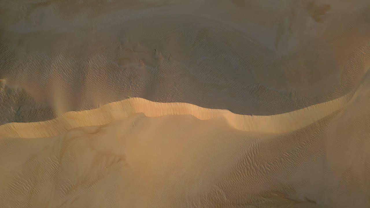 Ripresa aerea dall’alto con drone in orbita sopra le dune di sabbia modellate dal vento con ombre morbide e creste texturizzate, Big Drift, Wilsons Promontory, Victoria, Australia
