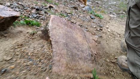 following feet running down mountainside in colorado