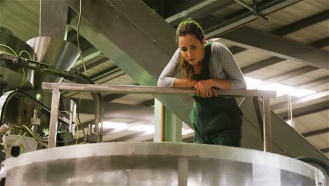 female worker examining in factory