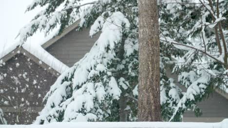 snow-falling-beside-the-rooftop