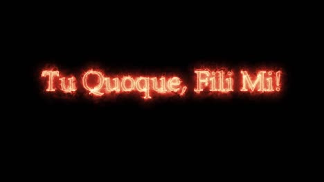 tu quoque fili mi escrito con fuego. bucle