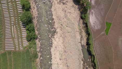 Aerial-top-down-shot-of-small-water-stream-river-in-dry-season-in-summer