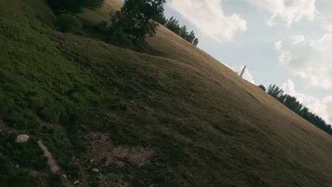 aerial cinematic footage from fpv racing drone of a sun lit meadow during a summer sunset