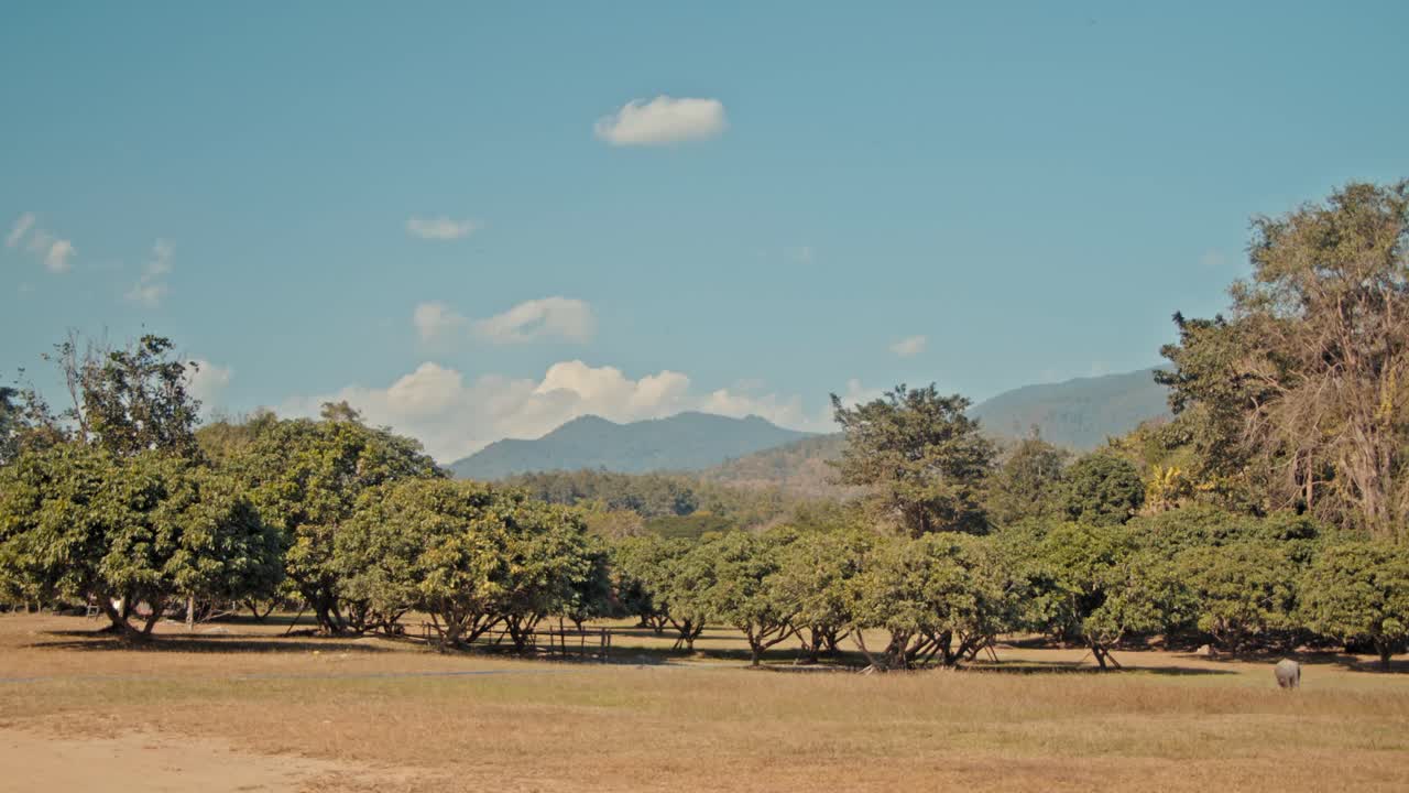 Landscape with trees, mountains, and blue sky
